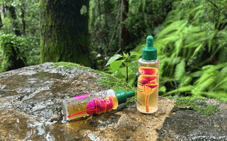 Explore More Than Just “Key Ingredients"