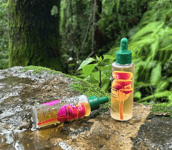Explore More Than Just “Key Ingredients"